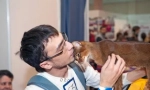 Dovolená našich menších bratrů: den zvířat a sterilizační den